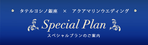 タテルヨシノ銀座スペシャルプランのご案内